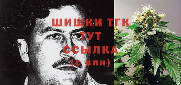 гидра Нефтекумск