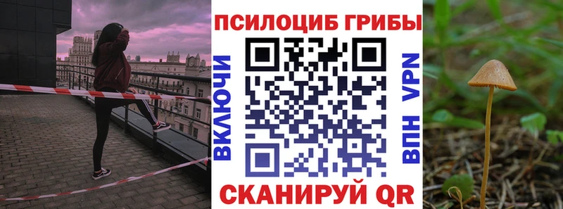 Галлюциногенные грибы Cubensis  кракен   Приморско-Ахтарск 